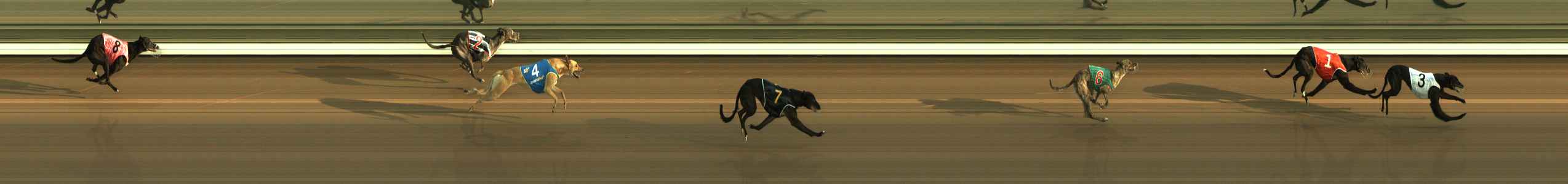 Race result finish photo